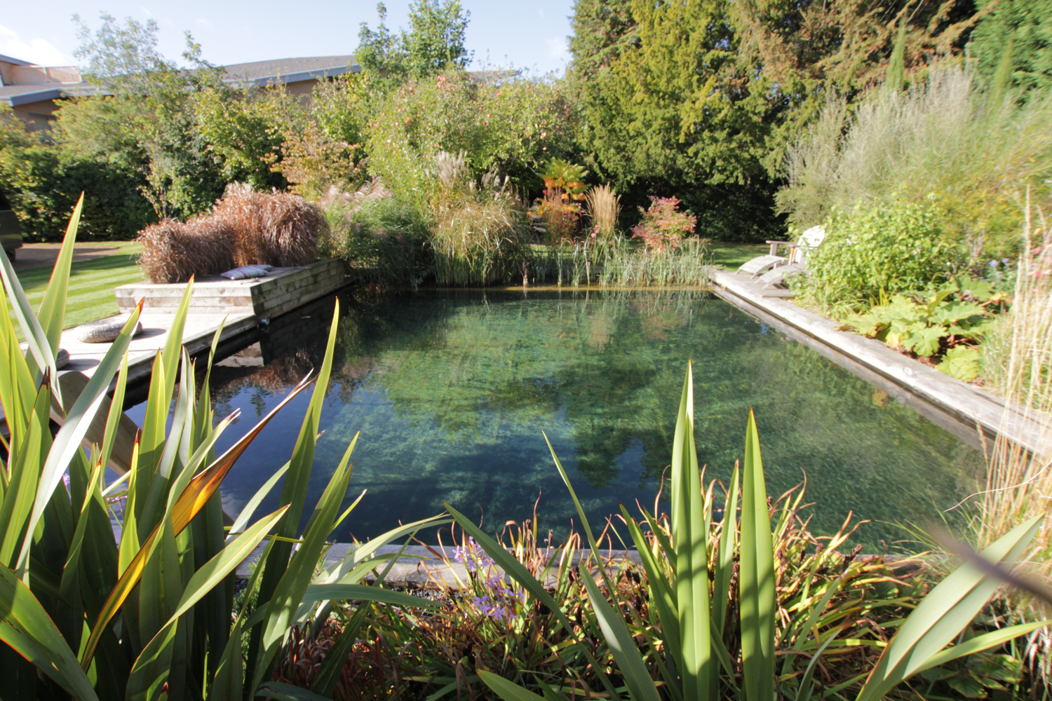 How to Make a Swimming Pond: Your DIY Oasis Guide