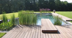 Five Reasons Your Garden Should Have A Natural Swimming Pool - CWR